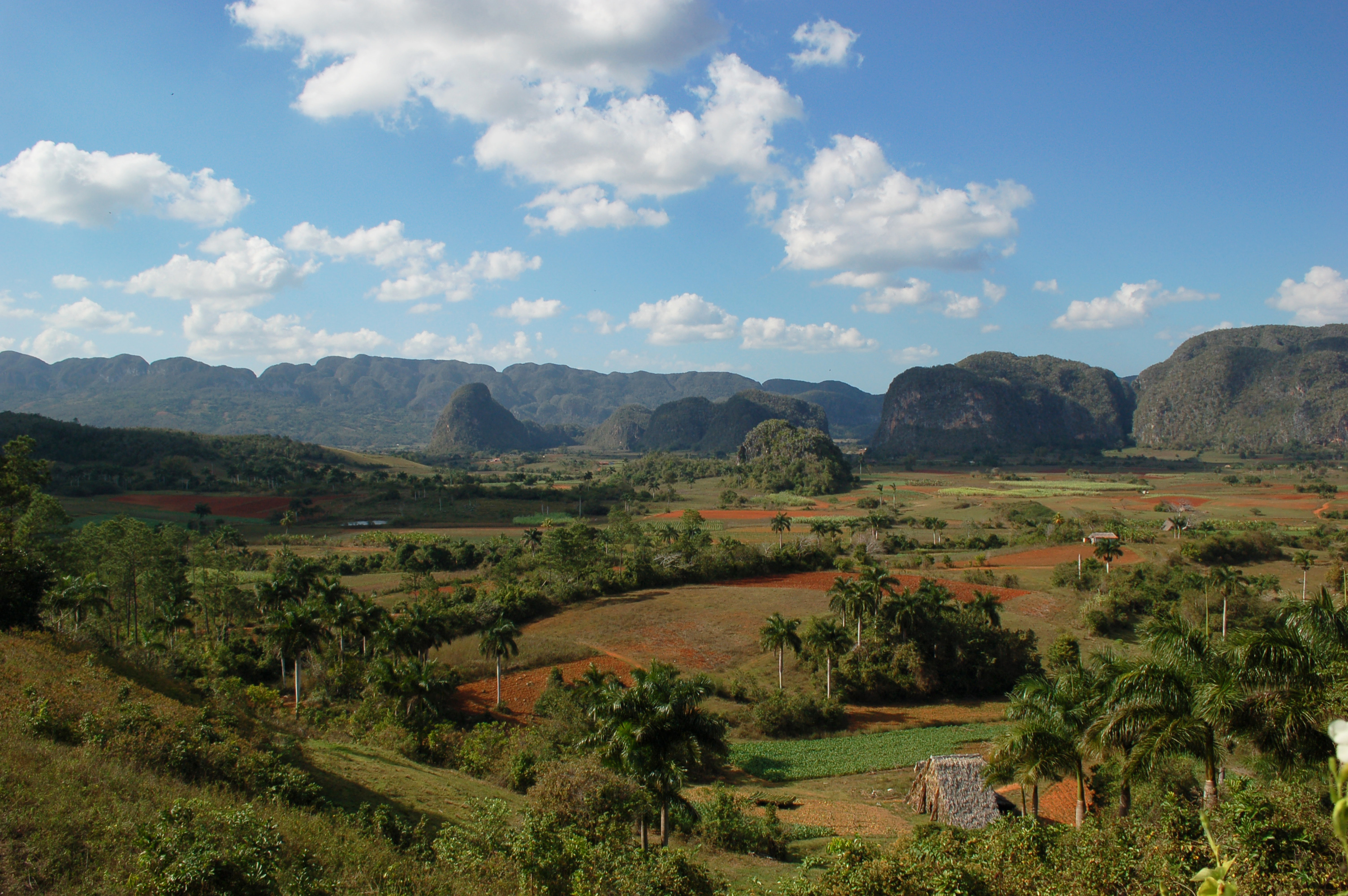 Viñales Valley with limestone mogotes, Cuba